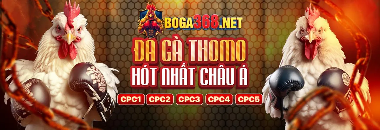 Hình ảnh nền tảng g6bet cam kết cá cược an toàn và trách nhiệm