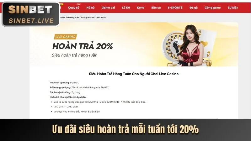 Các lợi ích khi trở thành thành viên G6BET